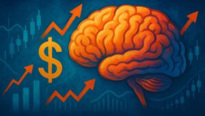 no brainer portfolio
